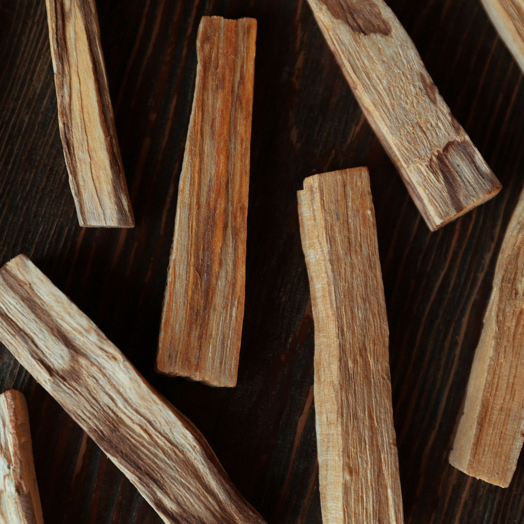 Palo Santo Ritual Sticks — Wild-Harvested Holy Wood for Purifying Calm