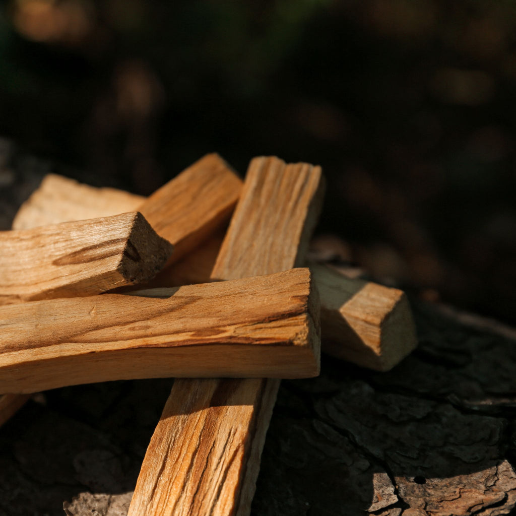 Palo Santo Ritual Sticks — Wild-Harvested Holy Wood for Purifying Calm